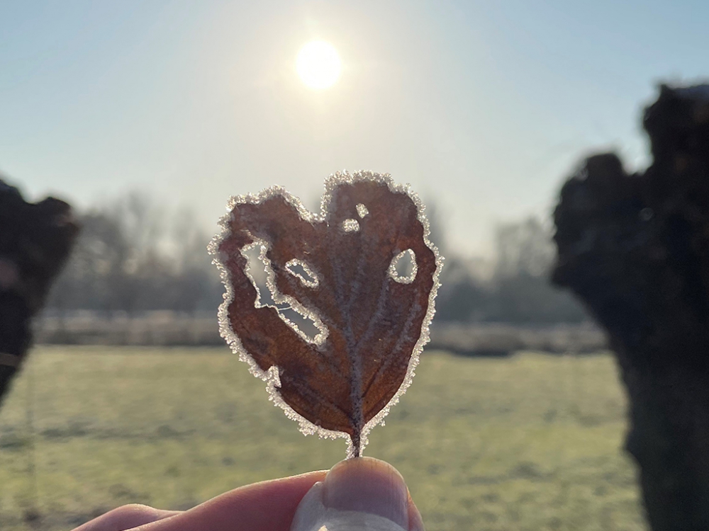 We zijn nog niet van de winterse problemen af