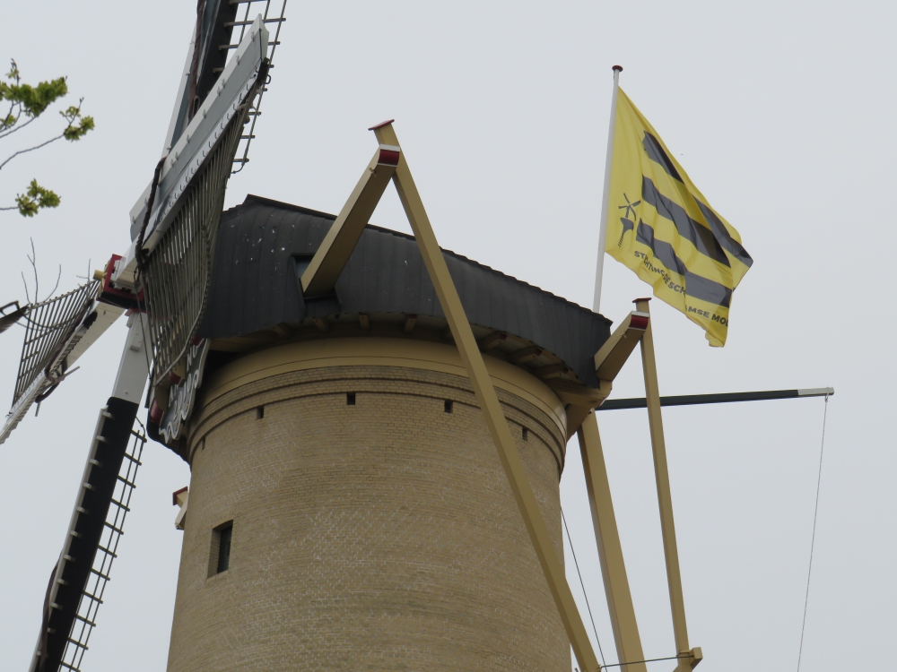 De (nieuwe) vlag uit voor 40 jaar molenstichting