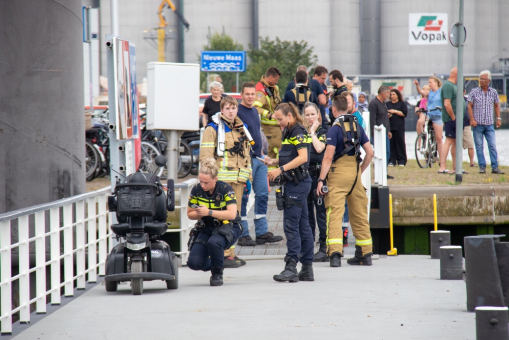 ‘Uit scootmobiel gevallen vrouw’ bij Maasboulevard blijkt zeehond