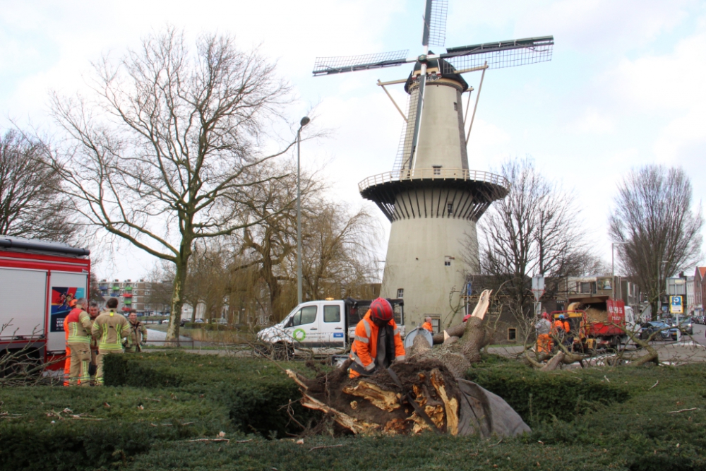 Verslag: gevolgen storm Eunice voor Schiedam: zonnepanelen, dakpannen en tuinstoelen vlogen door de lucht