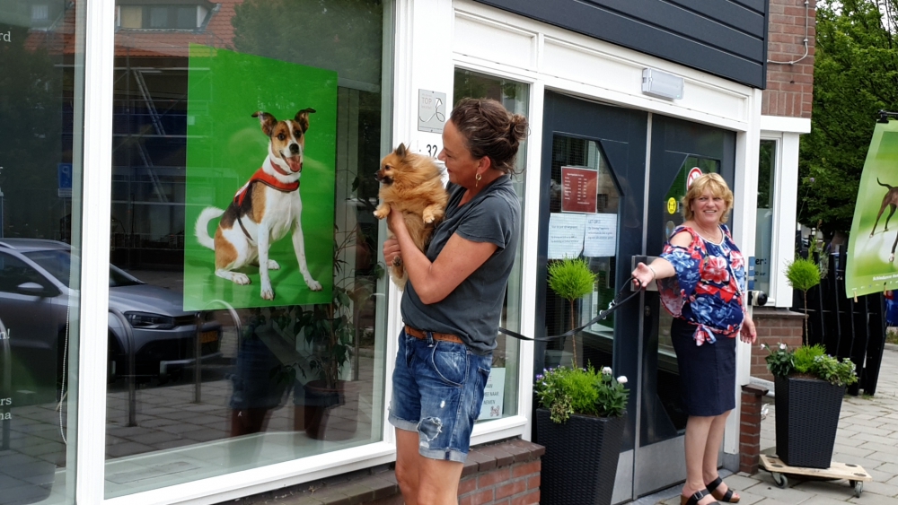 Schiedamse Honden in de hoofdrol