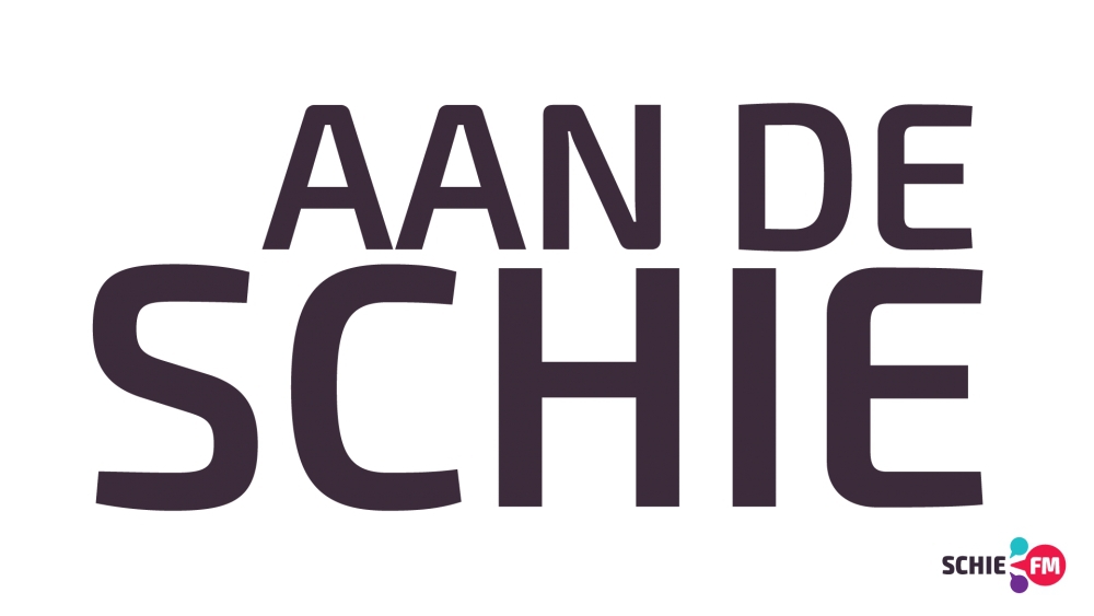 Directeur Bibliotheek Schiedam in Aan De Schie