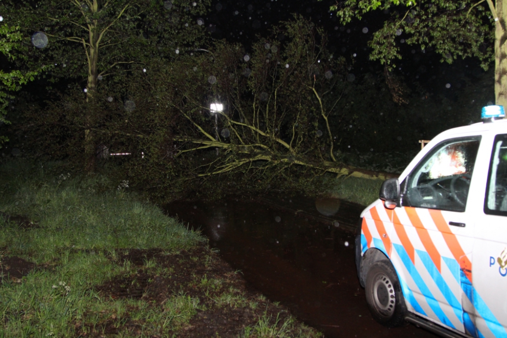 Boom waait om en neemt elektriciteitskabel mee in val