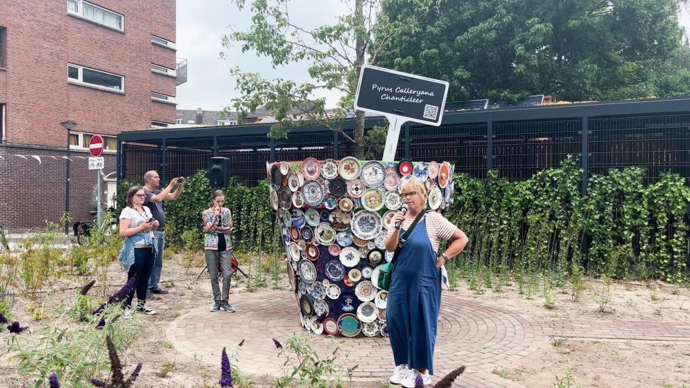 De met servies versierde boompot in Oost zit vol met mooie verhalen uit de wijk