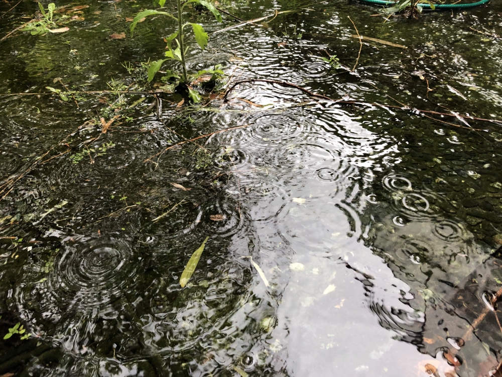 Buitenspeeldag valt in het water