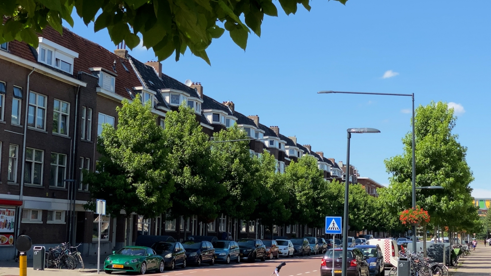 Wat gebeurt er met de miljoenen van het Rijk in Schiedam Nieuwland en Oost?