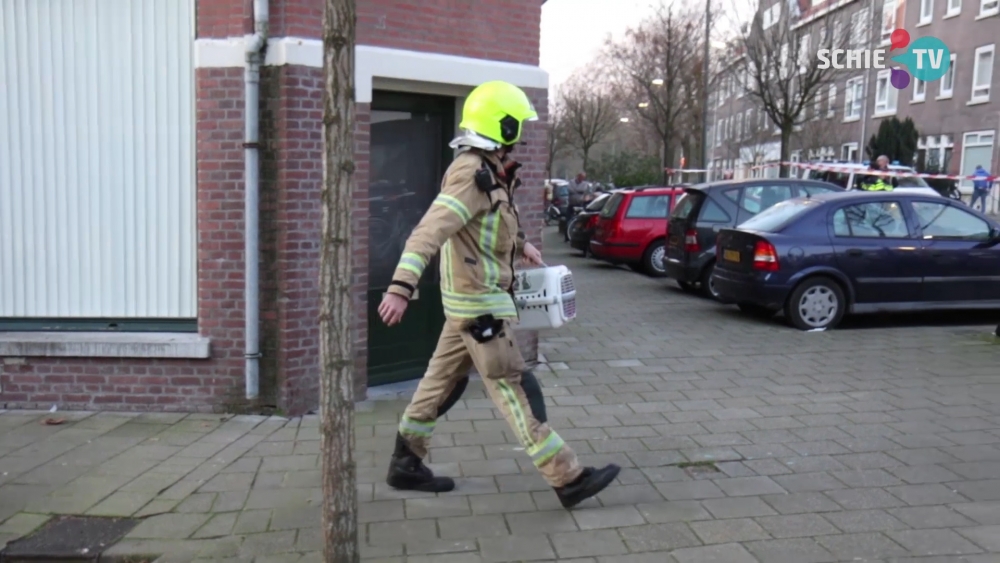 Brandweer redt kat uit brandende woning