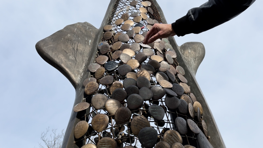 Solidariteit in schubben: Haringbeeld als symbool van liefde en begrip