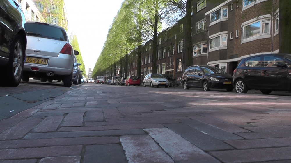 &#039;Schiedamse Bomenridders niet zonder slag of stoot akkoord met kap 72 bomen PKO-Lorentzlaan in Schiedam-Oost&#039;