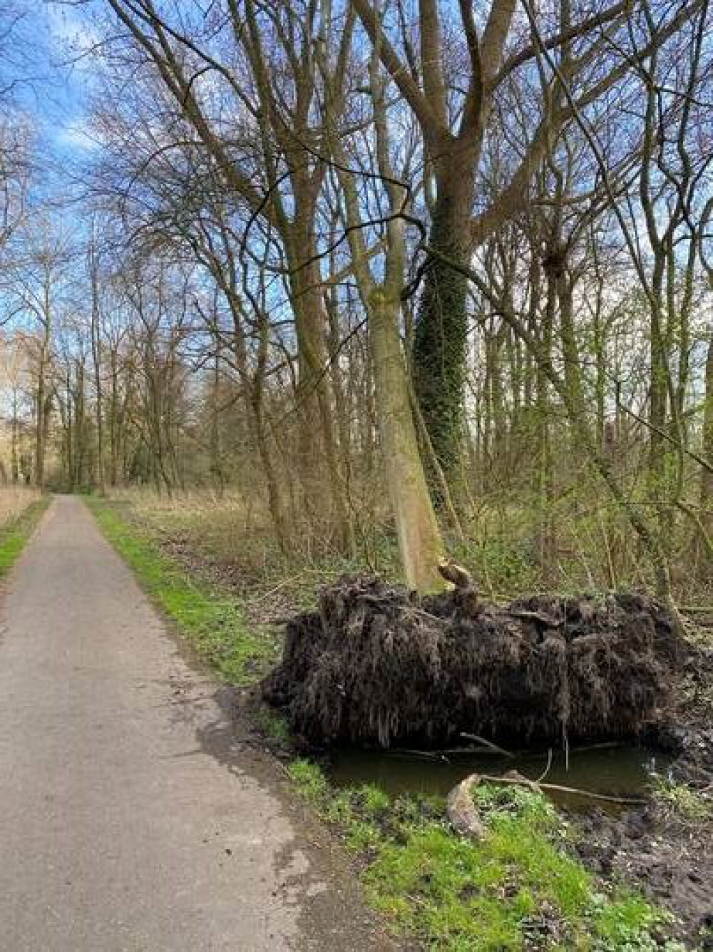 Schiedam nog altijd niet klaar met stormschade