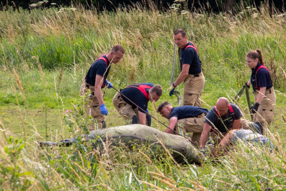 Brandweer haalt paard uit sloot bij de Groeneweg