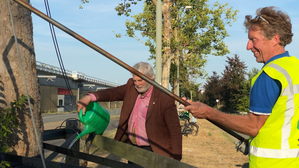 Bomen aan Horvathweg krijgen een slokje te drinken: ‘Je moet ze water geven om ze te redden, is dat nou zo moeilijk?’