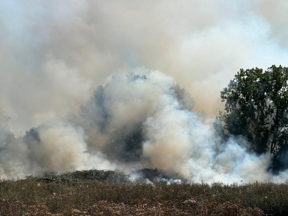 Forse buitenbrand in Vlaardingen, rookwolken van grote afstand te zien