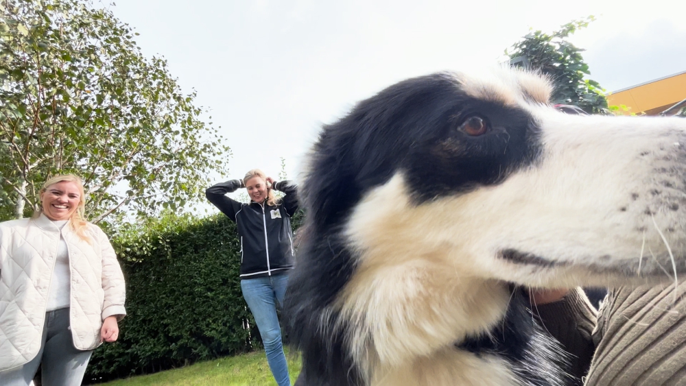 Pootjes, likjes en kopjes op Dierendag: ‘Het mooiste is om dieren een écht thuis te geven’