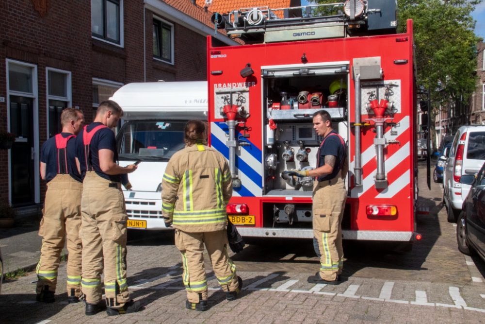 Zwaluw in de nesten in Schiedam