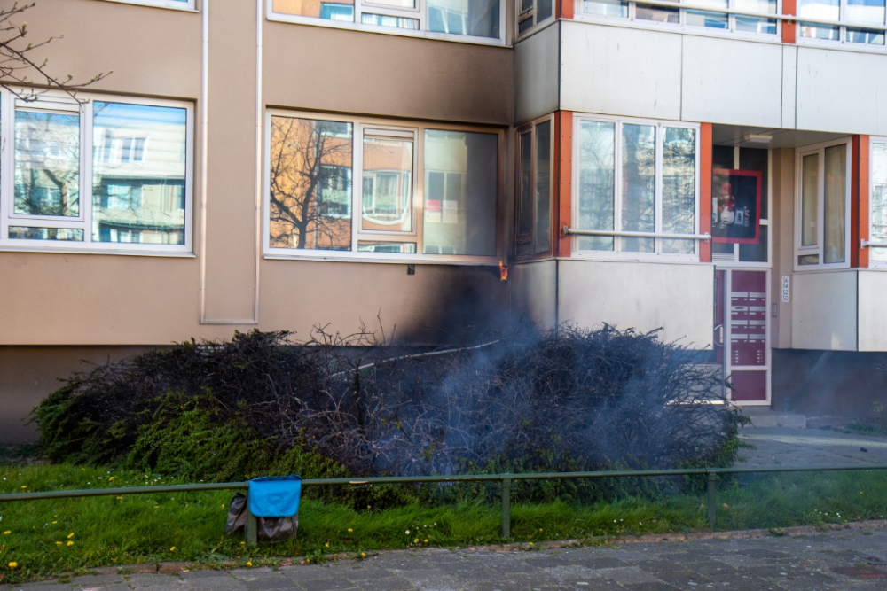 Brand in struiken slaat over naar flat