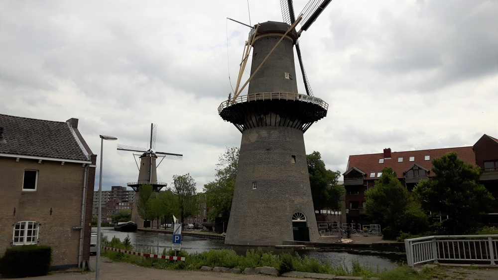 Molen De Noord uit de steigers