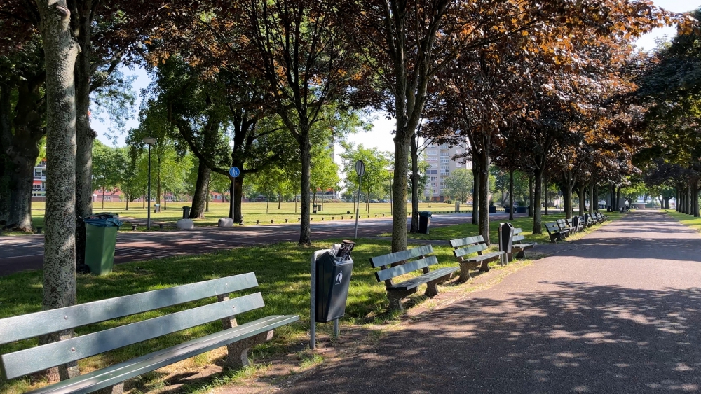 Overlast op de Maasboulevard: “Laten we zorgen dat het schoon en veilig wordt”