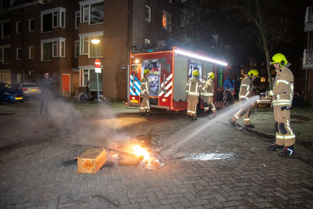 &#039;Helaas zien we dat veel kerstbomen aan de straat gelegd worden&#039;