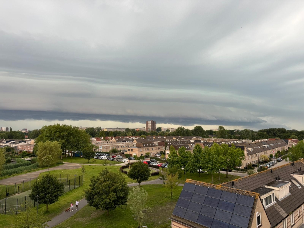 Code oranje in Vlaardingen en Schiedam viel mee: één boom om