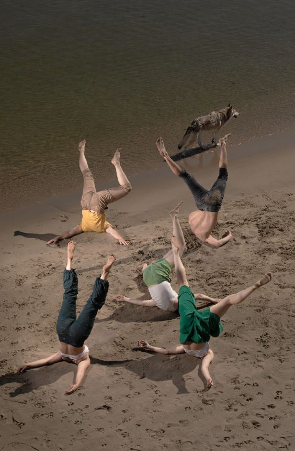 Dansvoorstelling Kop in het Zand nog een keer te zien in Schiedam; uitvoering op 23 oktober in loods van Dirkzwager