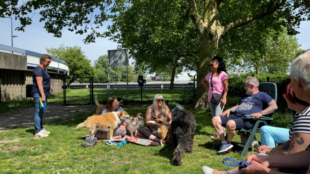 Irritatie over achterstallig onderhoud hondenspeeltuin: “Levensgevaarlijk voor ons en de honden”