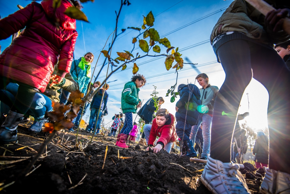 Tiny Forests brengen Schiedam 1.800 bomen