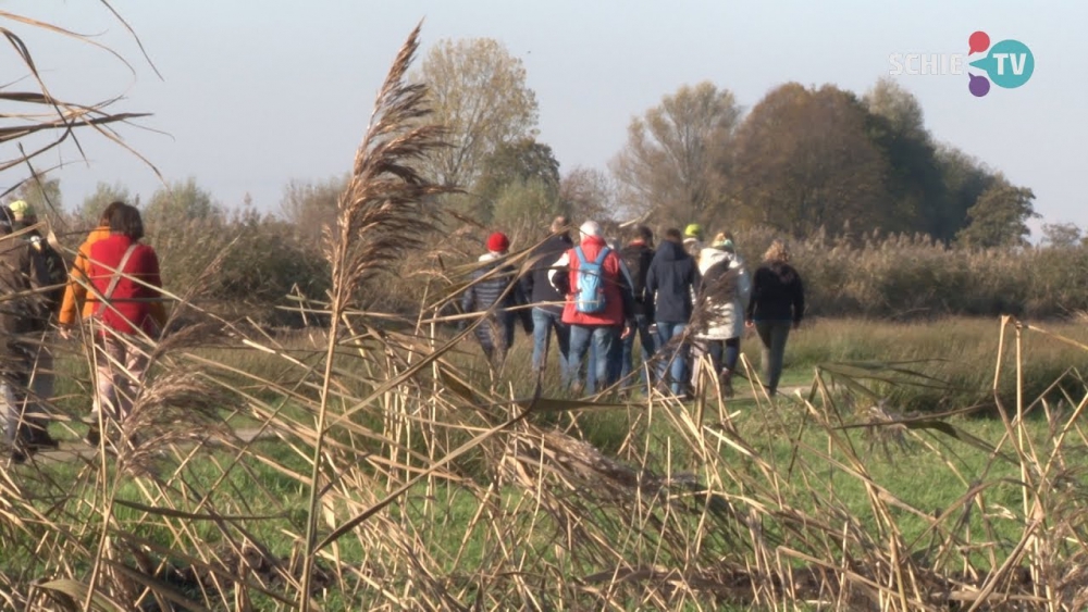 Stevige groepswandeling door de polder