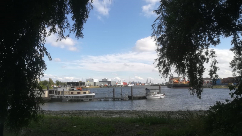 Actie River Cleanup in omgeving Havendijk