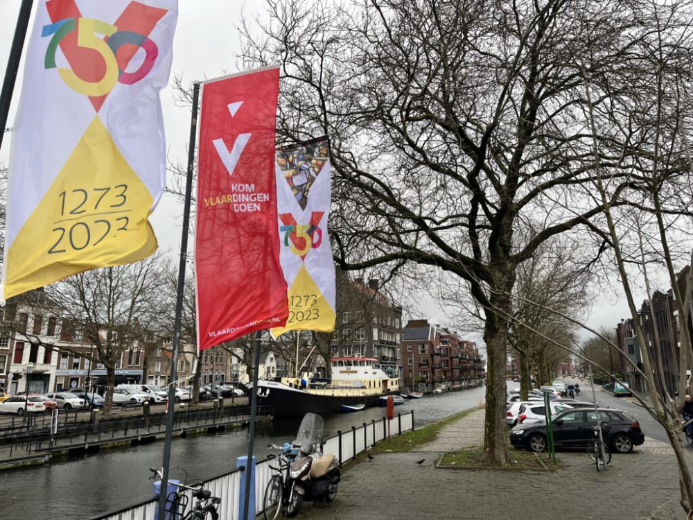 &#039;Het grijze gemoed van de gemiddelde Vlaardinger&#039;