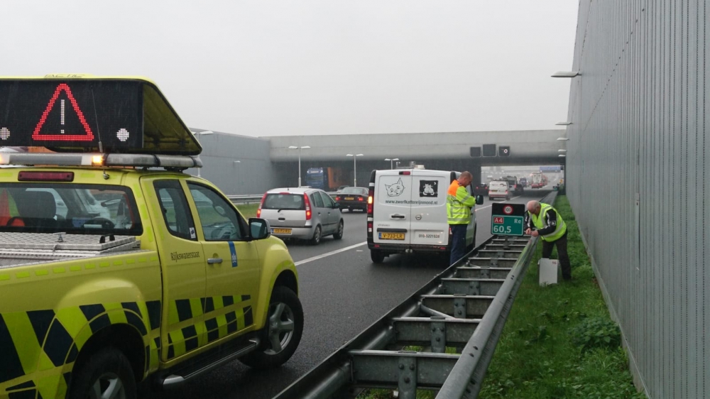 Kat in het nauw op de snelweg