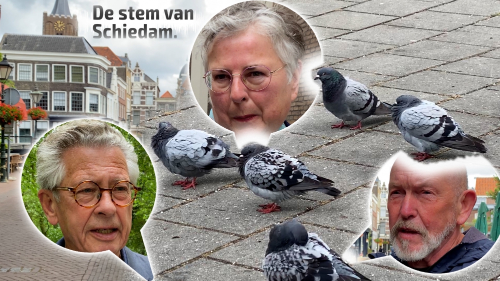 Schiedammers over het voederen van eenden, vogels en ganzen: &quot;Een verbod vind ik wel erg ver gaan”