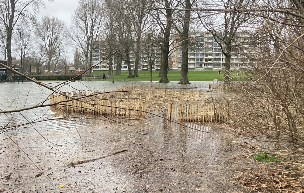 Tiny Forest onder water en Stedin draait overuren