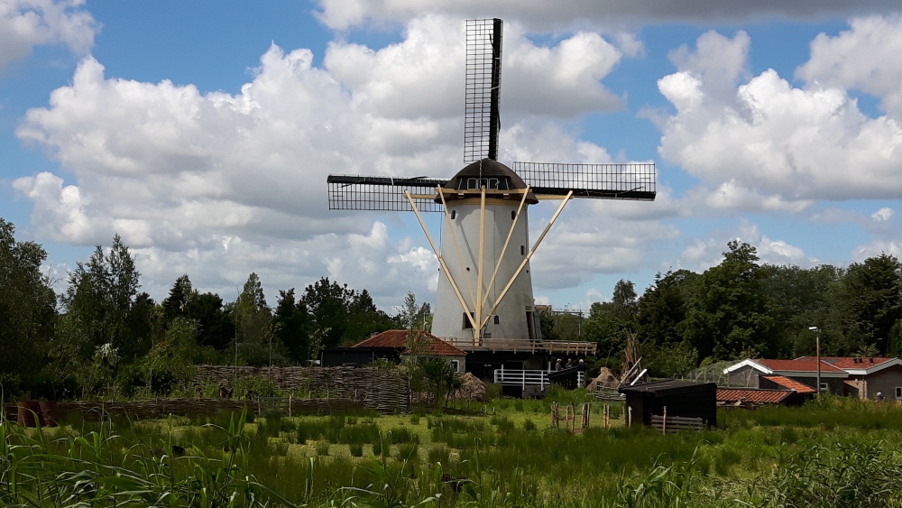 Speciale activiteit Babbersmolen: leven van de natuur