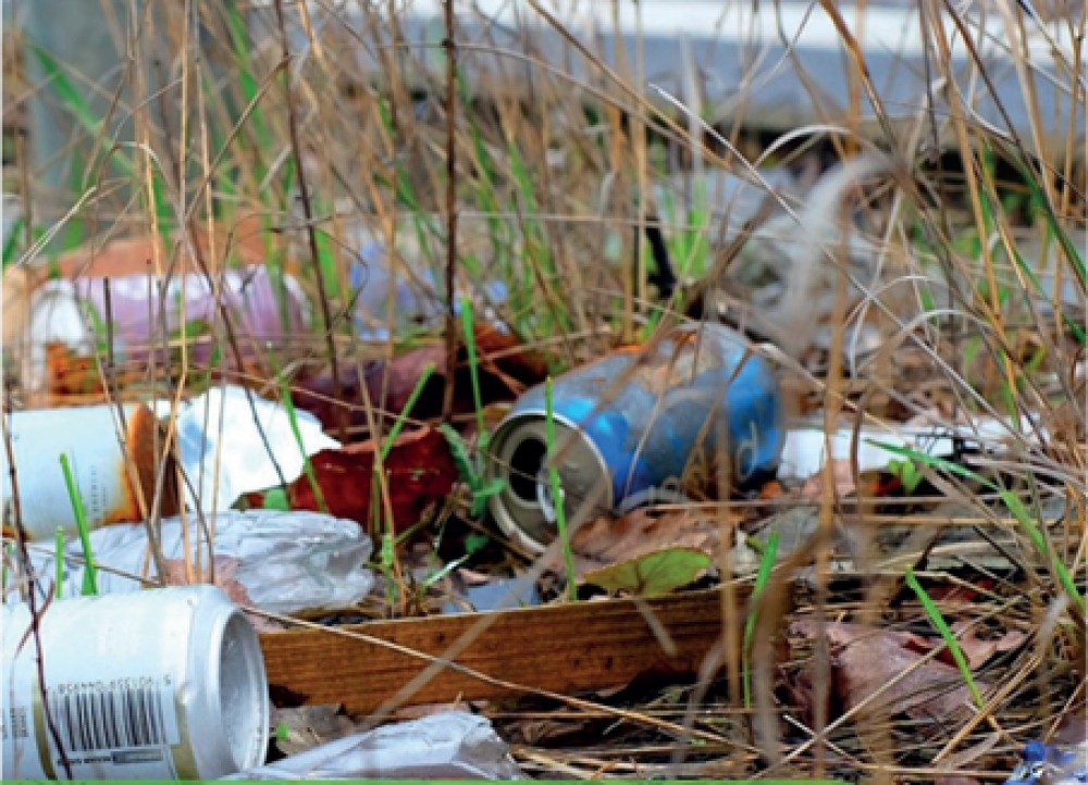 &#039;Wie helpt mee om de Gorzen weer schoon te krijgen?&#039;