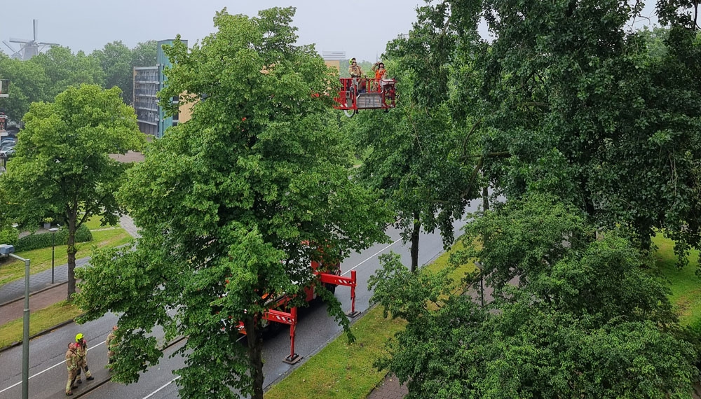 Stormschade aan Nieuwe Damlaan