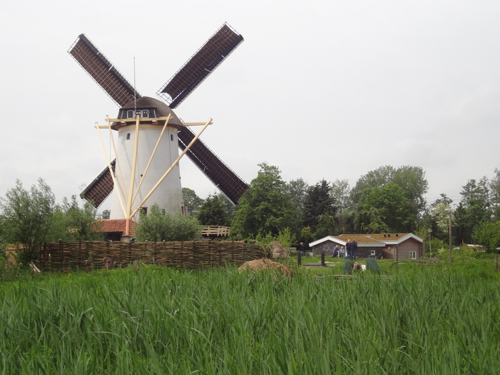 Tekenen en plantenpiramide vlechten bij de Babbersmolen