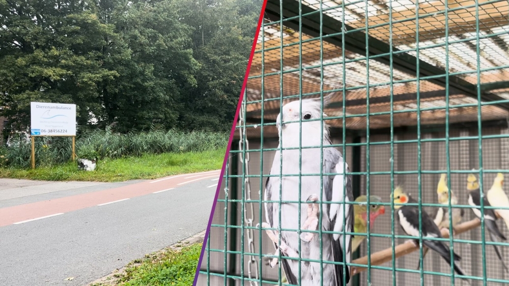 Dierenredders nemen pand over aan Broekpolderweg: ‘De perfecte locatie’