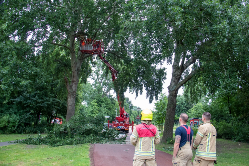 Dikke takken boven fietspad Hazepad verwijderd door brandweer