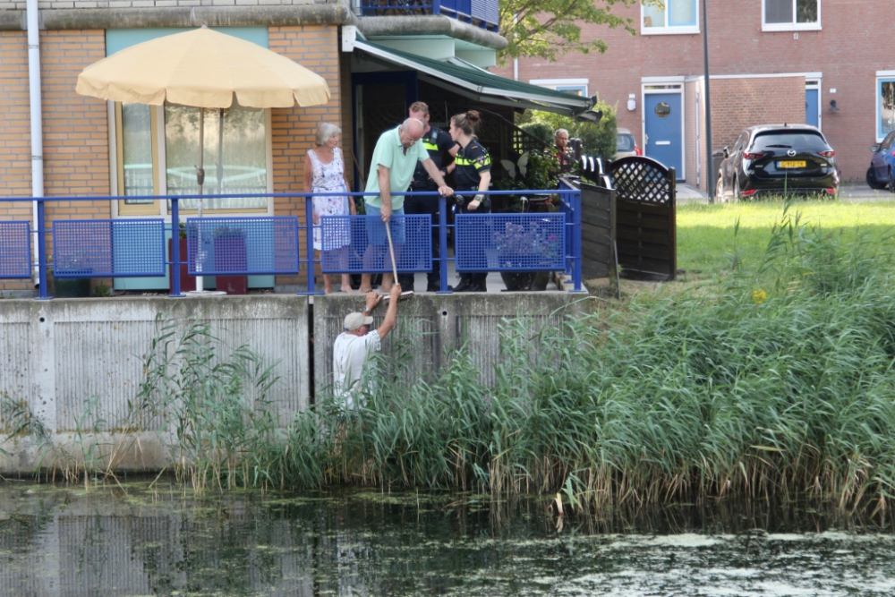 80-jarige oud-brandweerman redt kat uit sloot in Schiedam Noord