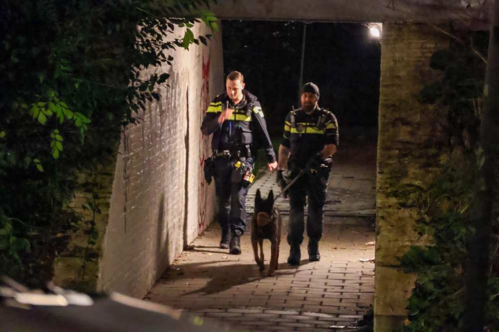 Politie voorkomt inbraak in Schiedamse portiekwoning