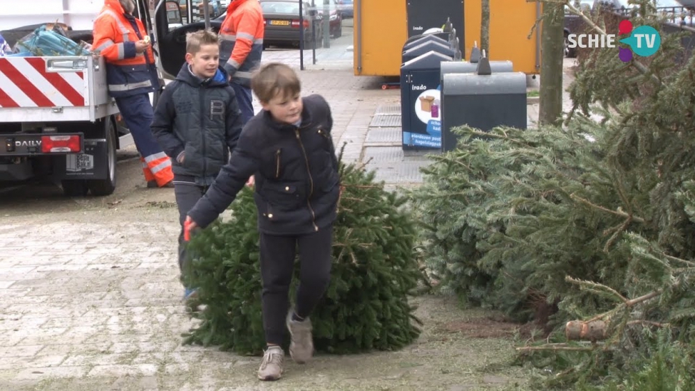 Opnieuw is er bij de gemeente geen geld te verdienen met het inzamelen van afgedankte kerstbomen