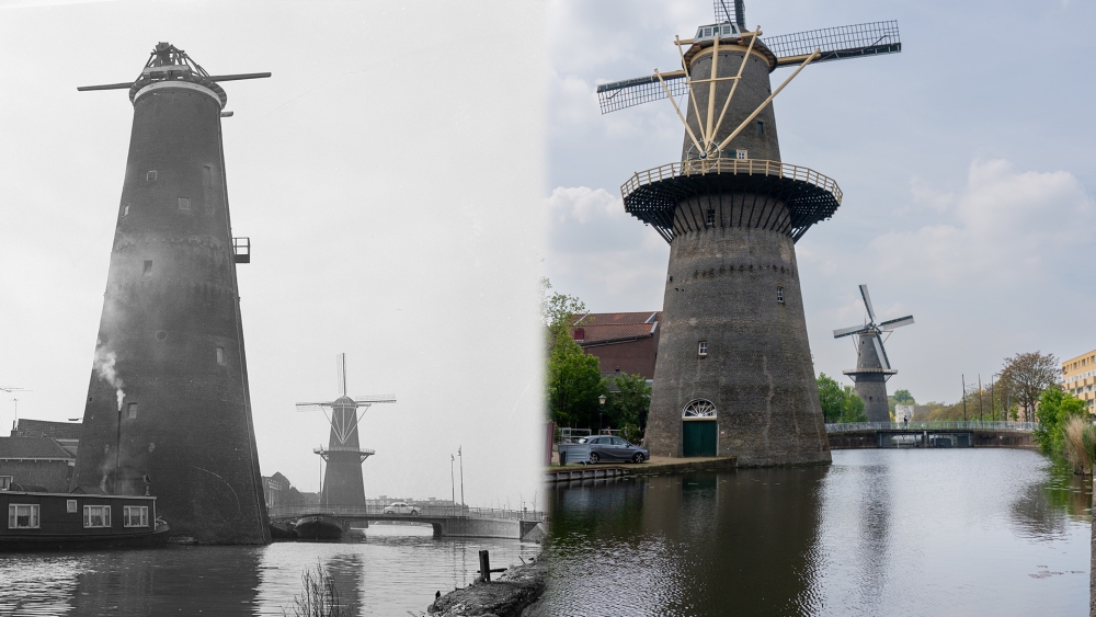 735 jaar geleden bouwden monniken een dijk, sindsdien hebben we droge voeten