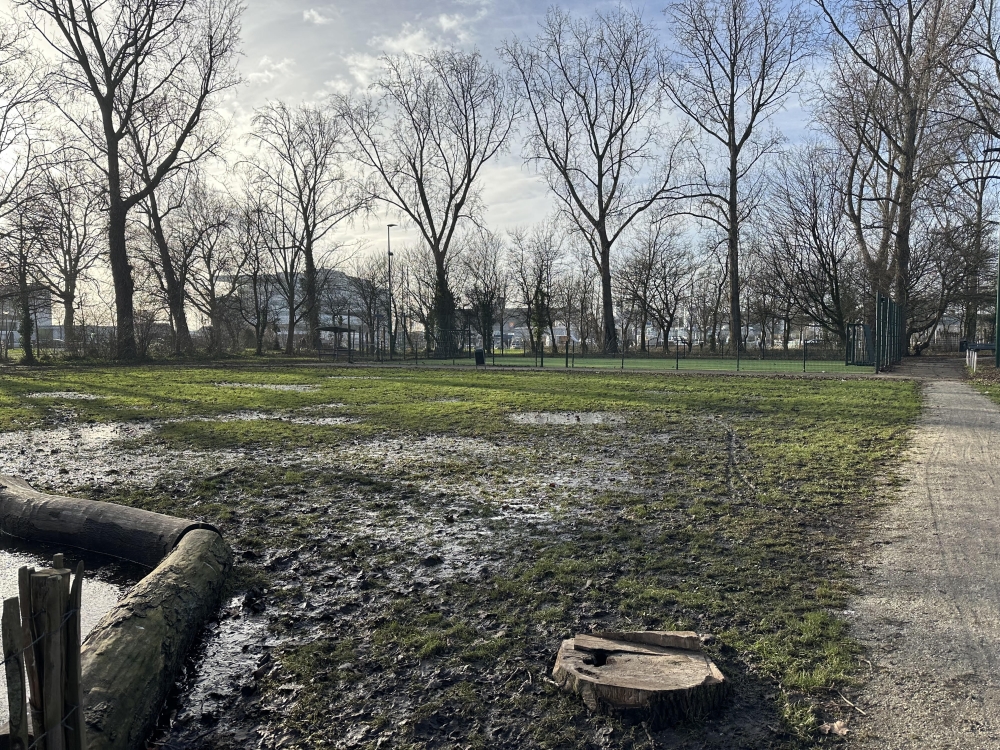 Basketbalveld op de Maasboulevard weer stapje dichterbij door donatie van tienduizend euro