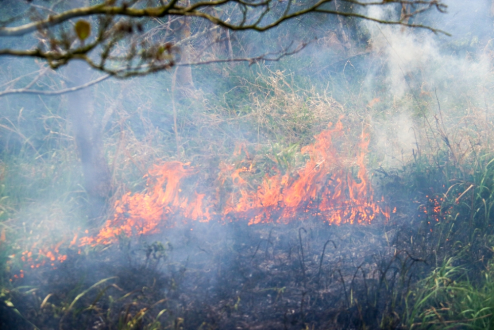 Grasveld in brand gestoken