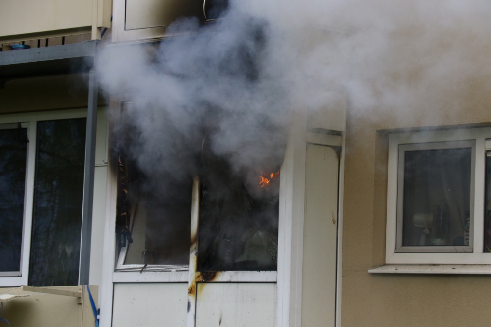 Drama in Nieuwland: meerdere huisdieren overleden bij woningbrand