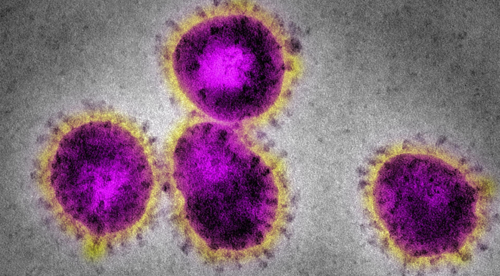 Zes nieuwe besmettingen coronavirus in regio; geen coronagevallen in Schiedam