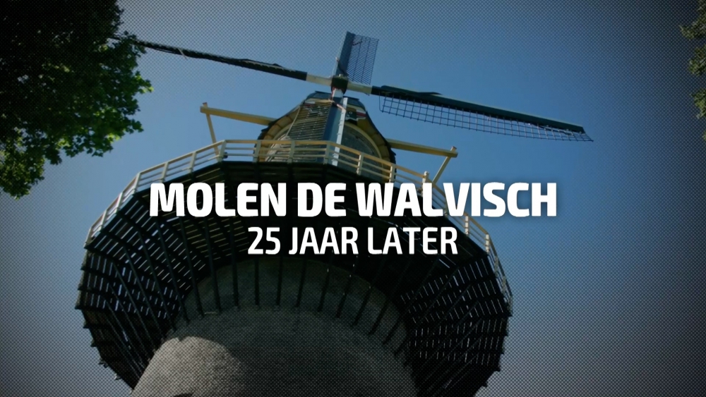 Molen de Walvisch 25 jaar na de brand