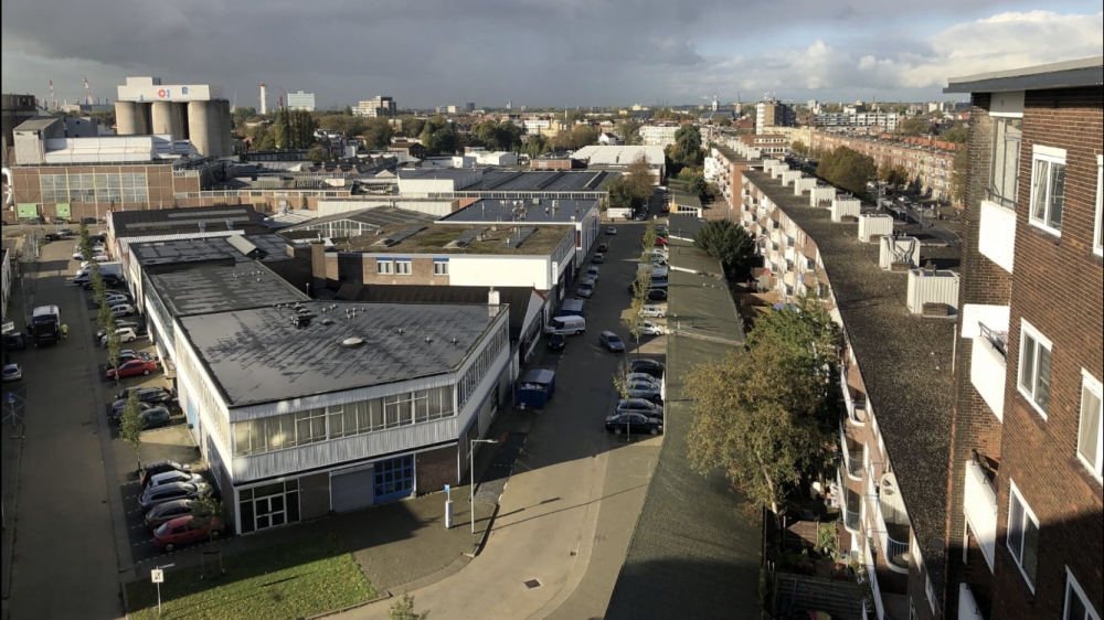 In Schiedam slechts 0,6 boom per inwoner, gemiddelde in Nederland is 4,8