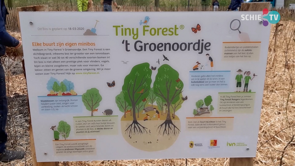 Boomfeestdag als start van Tiny Forest stuk minder feestelijk door maatregelen coronavirus